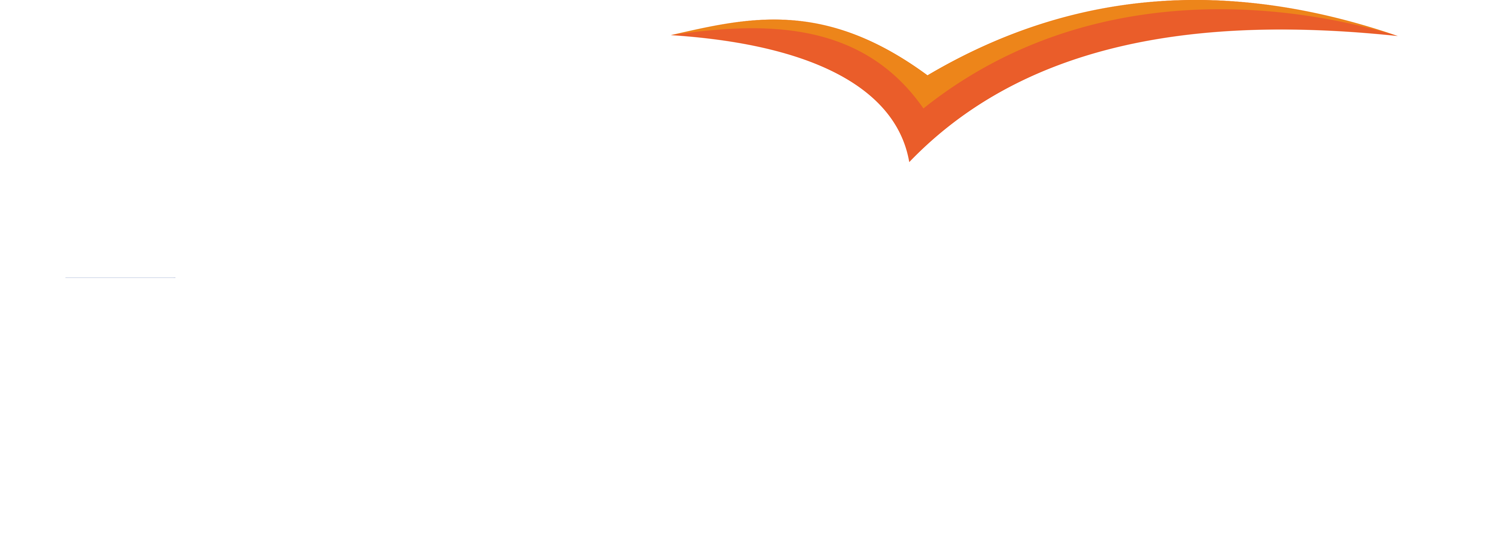 BSB City