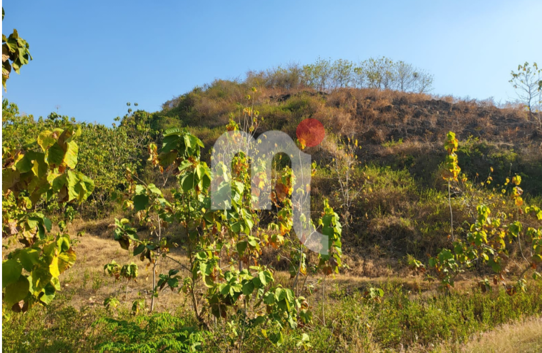 Tanah Wonosoco Kudus