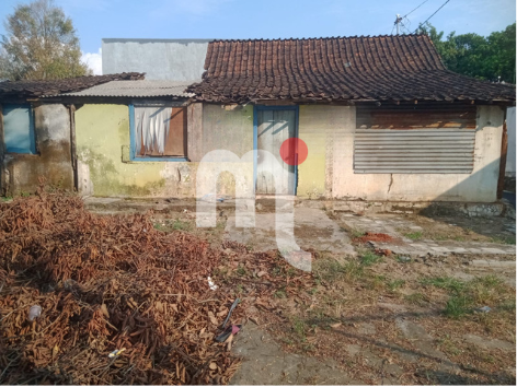 Land Jl Raya Mijen