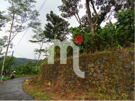 Tanah Desa Pasigitian Kendal