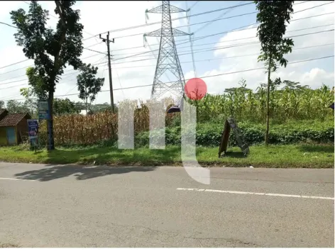 Jl Raya Boja - Semarang 土地