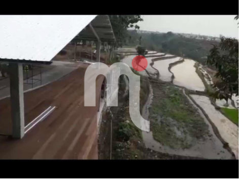 Tanah Gilisari, Polaman