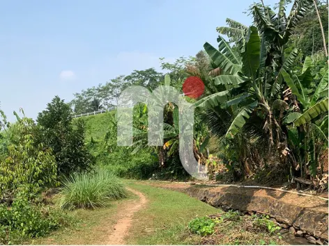 Tanah Jl Salatiga Bringin, Pabelan, Kab. Semarang