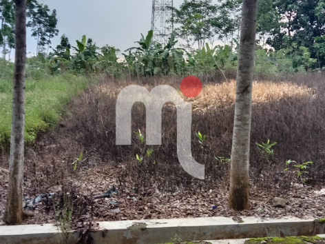 Tanah Robyong, Mijen