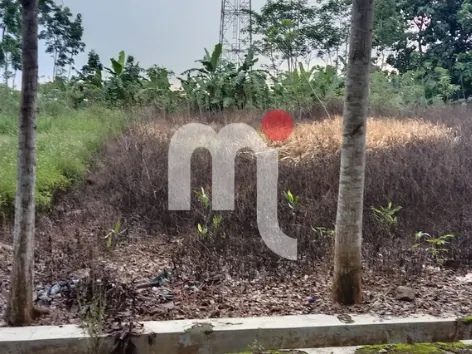 Land Robyong, Mijen