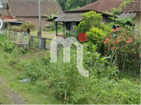 Tanah di Ngadibolo, Boja