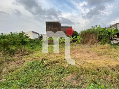 Tanah Mukhtiharjo Kidul