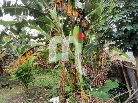 Tanah Suratmo