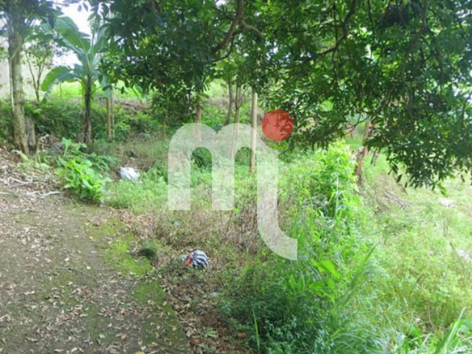 Bidang Tanah di Bawen