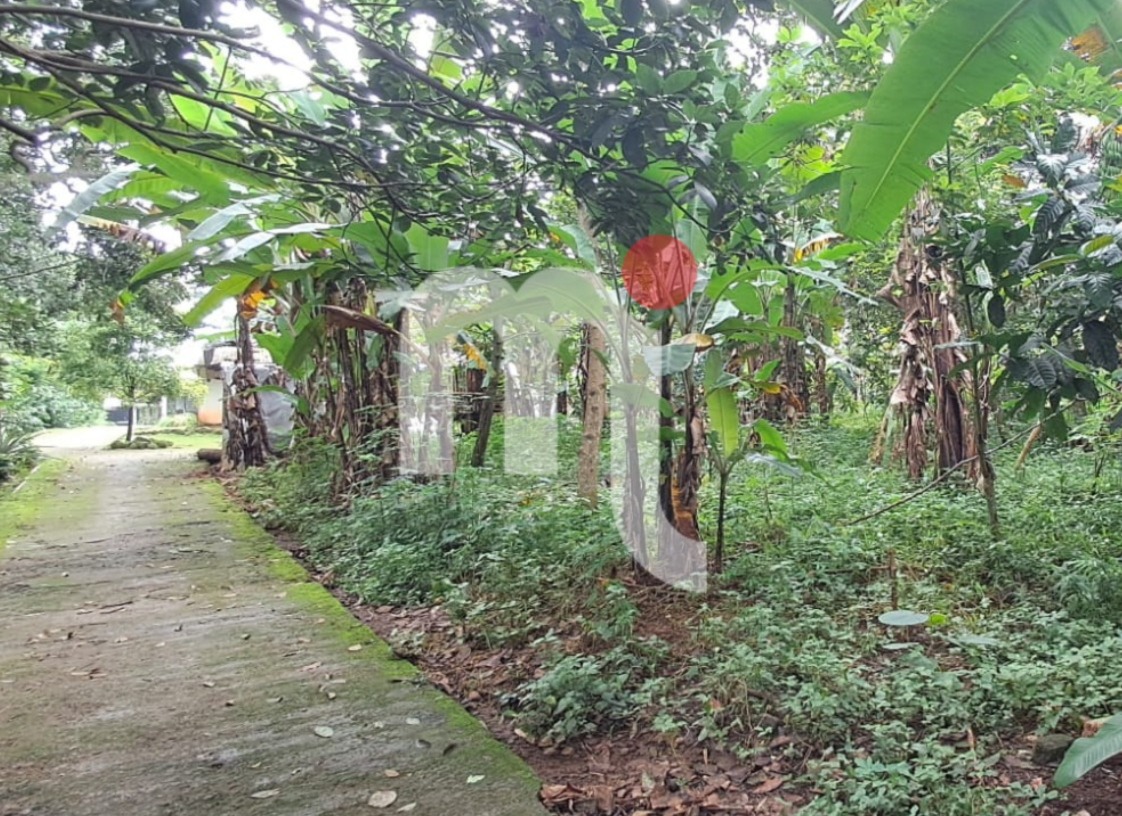 Bidang Tanah di Limbangan