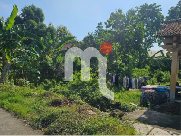 Bidang Tanah di Mranggen