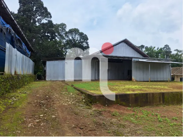 Warehouse in Ngabean Boja Kendal