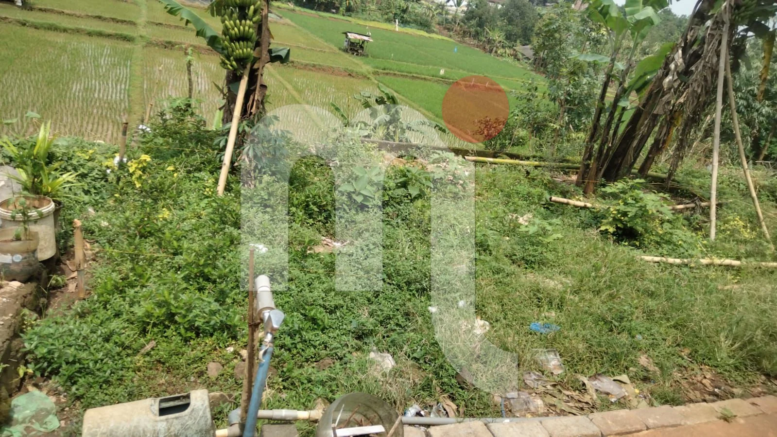 Bidang Tanah di Mijen