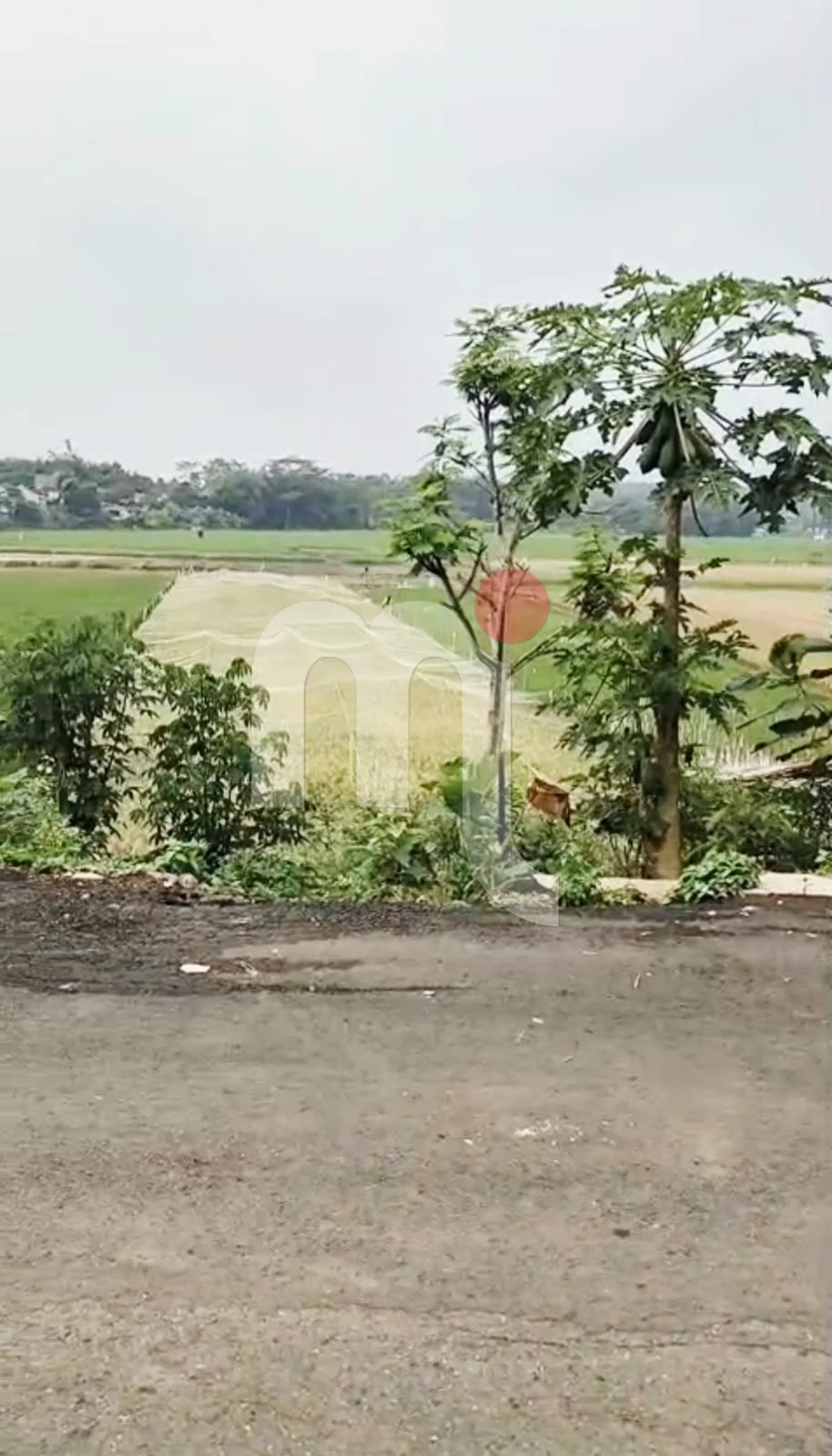 Bidang Tanah di Mijen