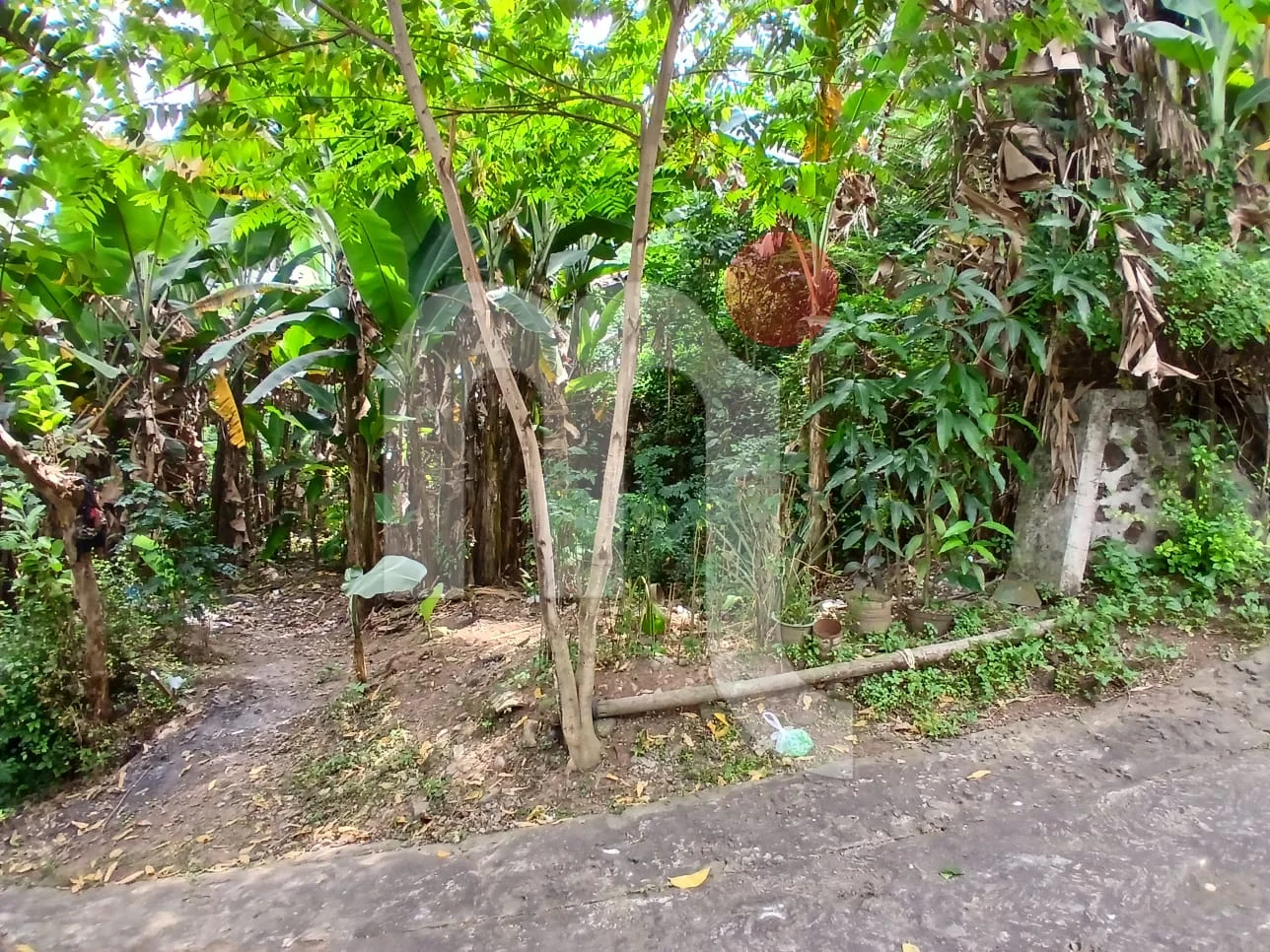 Bidang Tanah di Jl Tumpang Raya