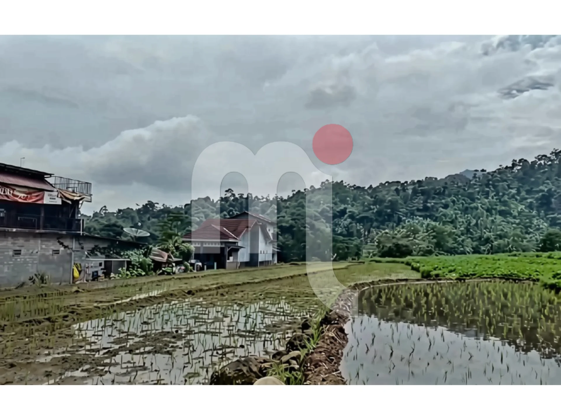 Tanah di Limbangan