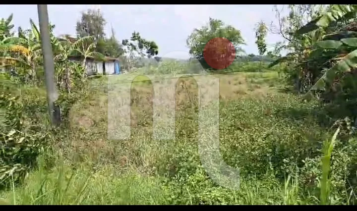 Tanah di Grobogan