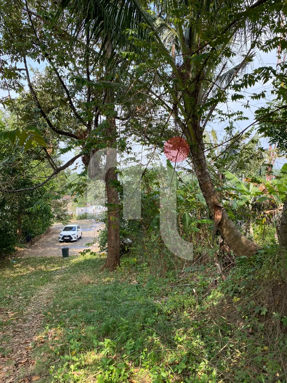 Tanah di Mijen