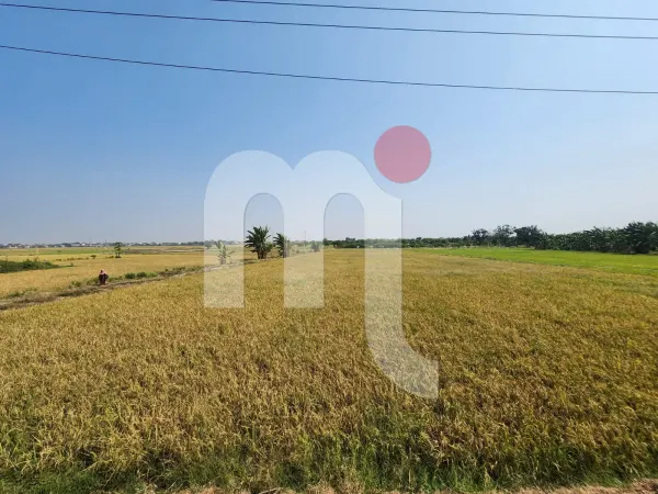Land in Wonosalam Demak