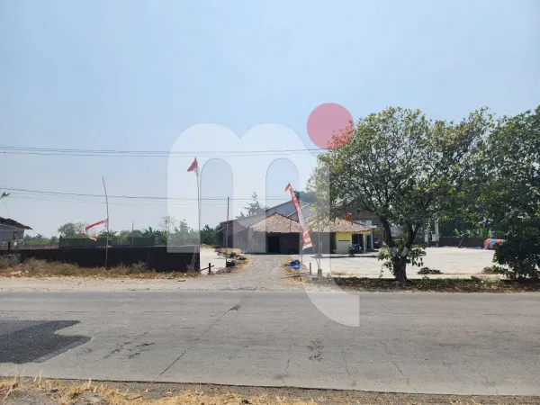 Land in Dempet Demak