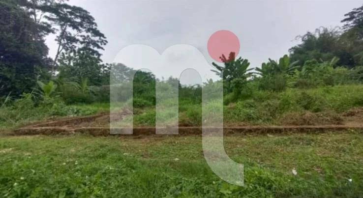 Tanah di Mijen Permai