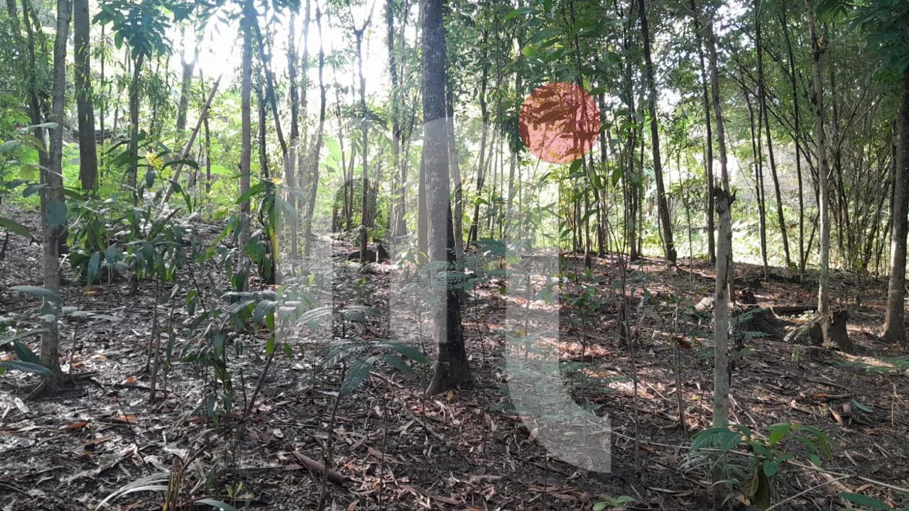 Tanah di Ngasinan Banyumanik