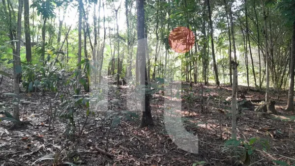 Tanah di Ngasinan Banyumanik