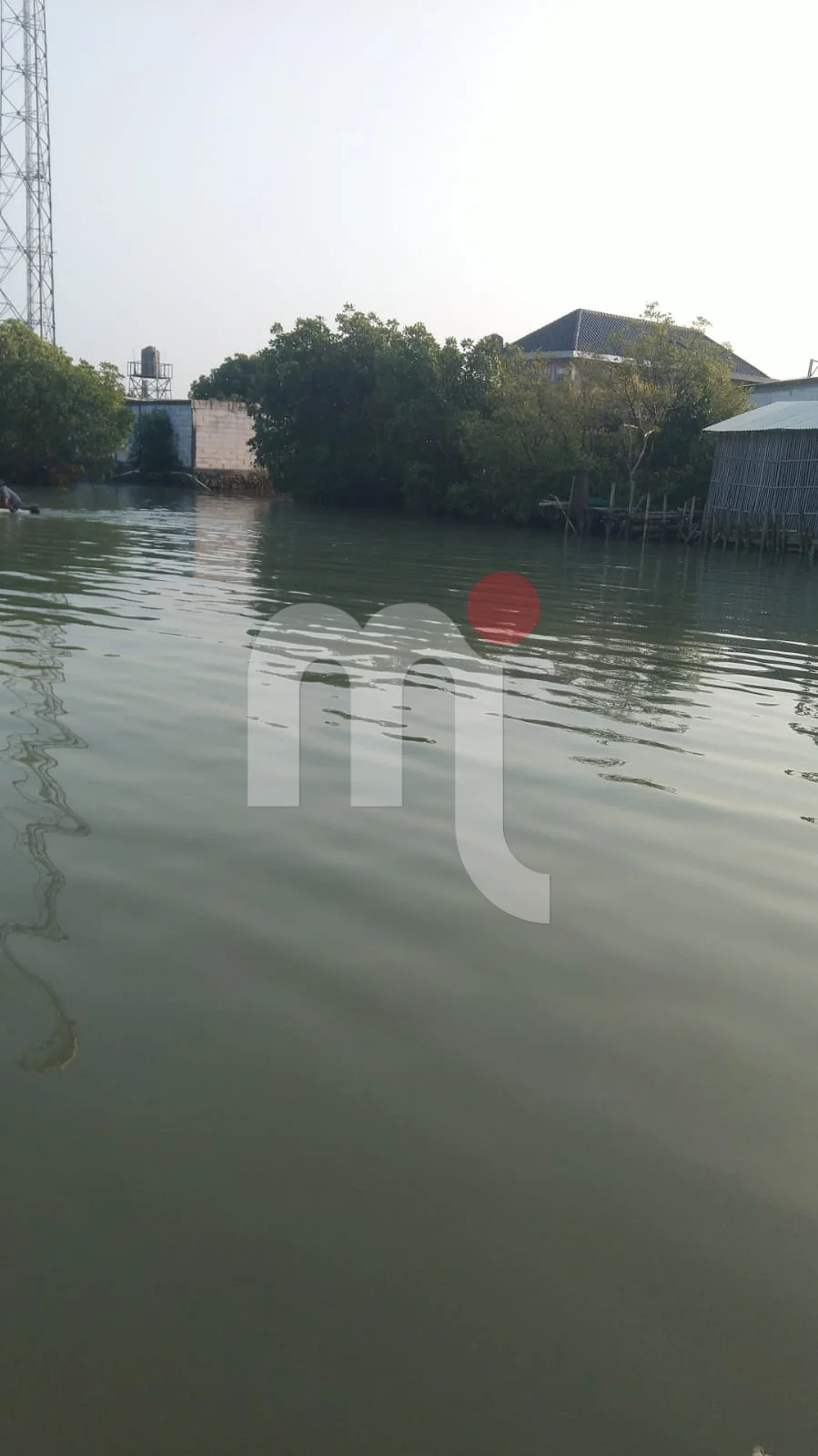 Tambak Bandeng di Sayung Demak