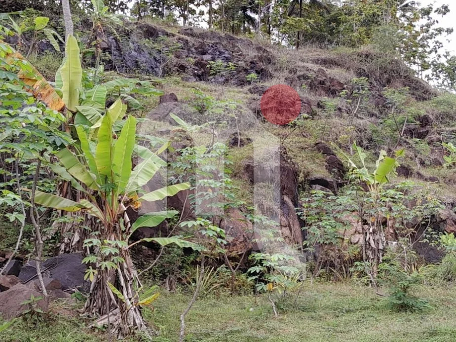 Land in Banyumas