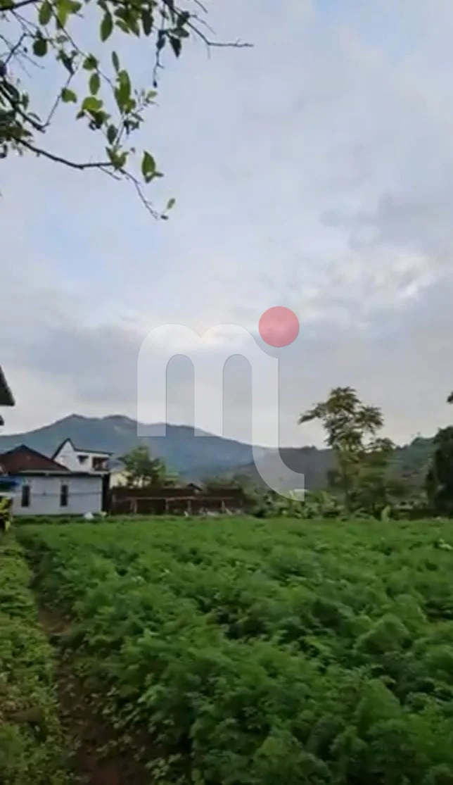 Tanah di Kejajar Wonosobo
